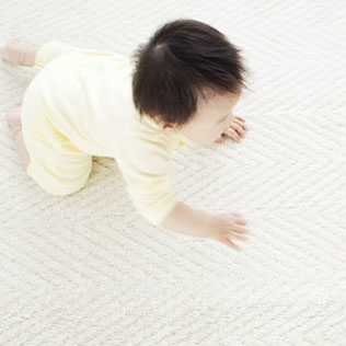 Crawling Stage