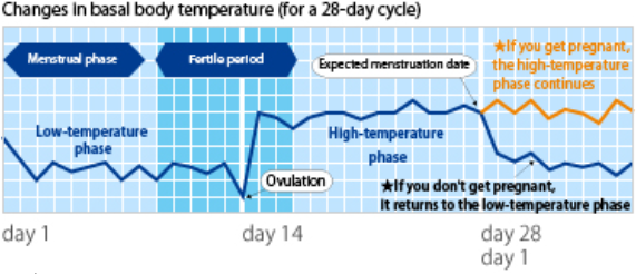 changes in basal body temperature